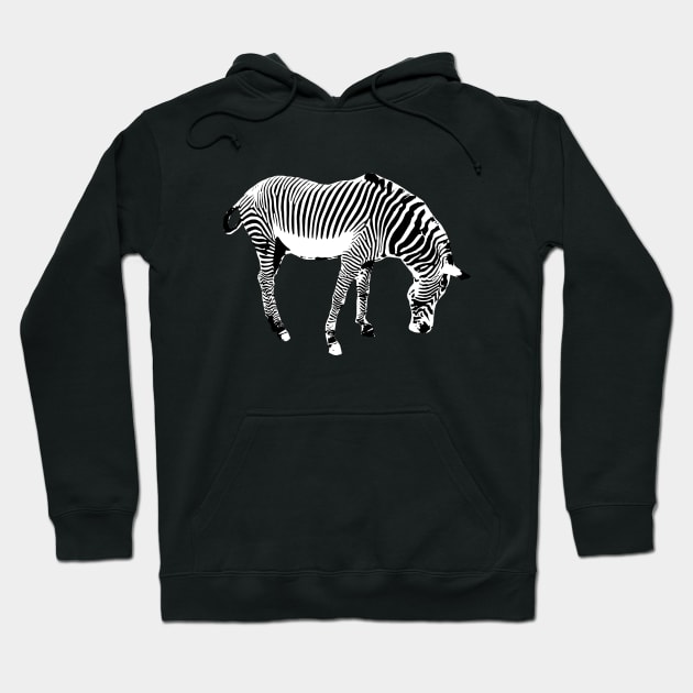 Zebra Hoodie by Shyflyer